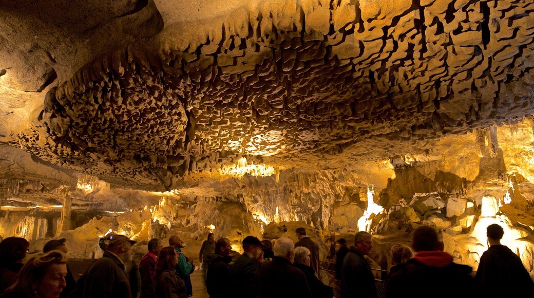 Betharram Caves which includes caves and caving as well as a small group of people