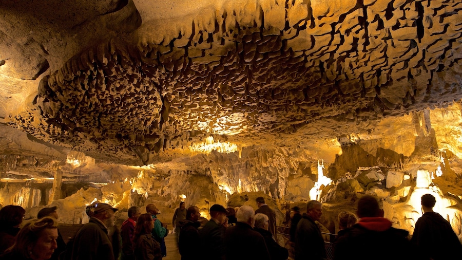 Betharram Caves showing caving and caves as well as a small group of people