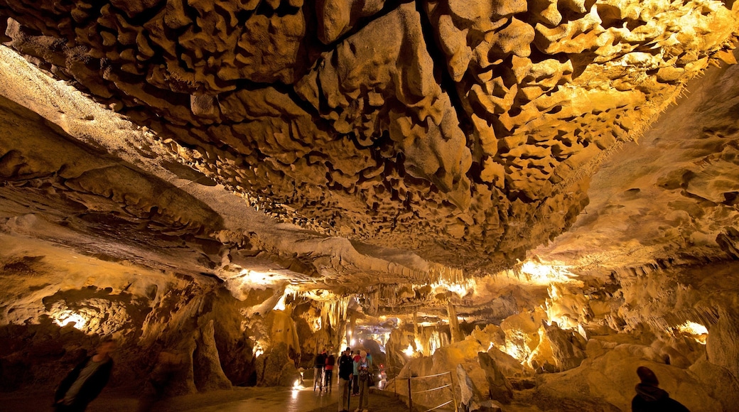 Betharram Caves featuring caving and caves as well as a small group of people