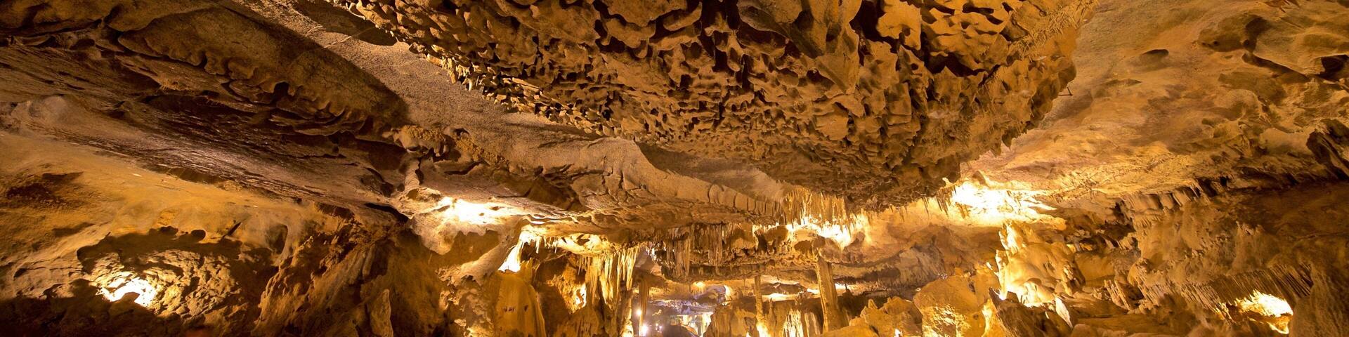 Grottes de Bétharram montrant grottes et spéléo aussi bien que petit groupe de personnes