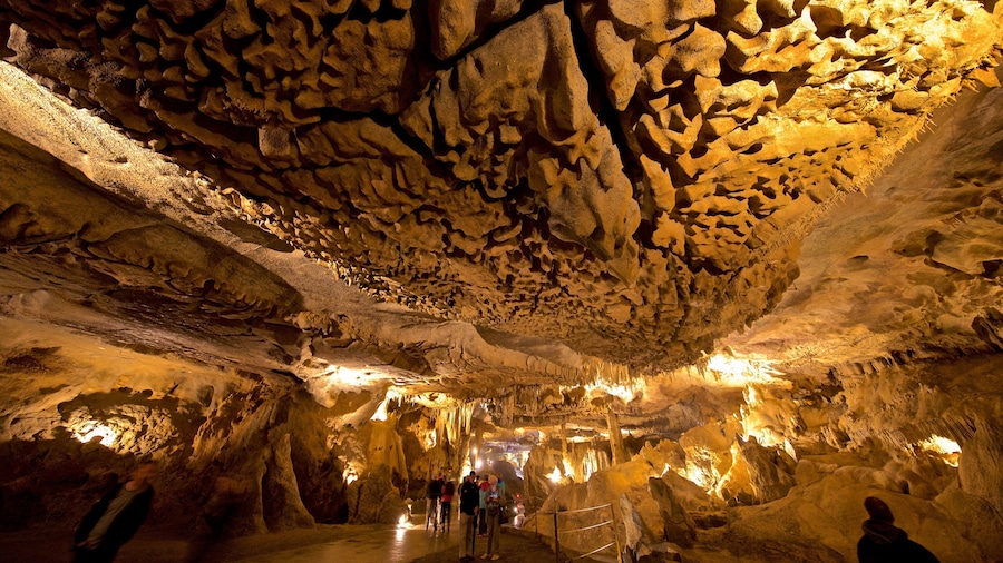 Betharram-grottene som viser huler og hulevandring i tillegg til en liten gruppe med mennesker