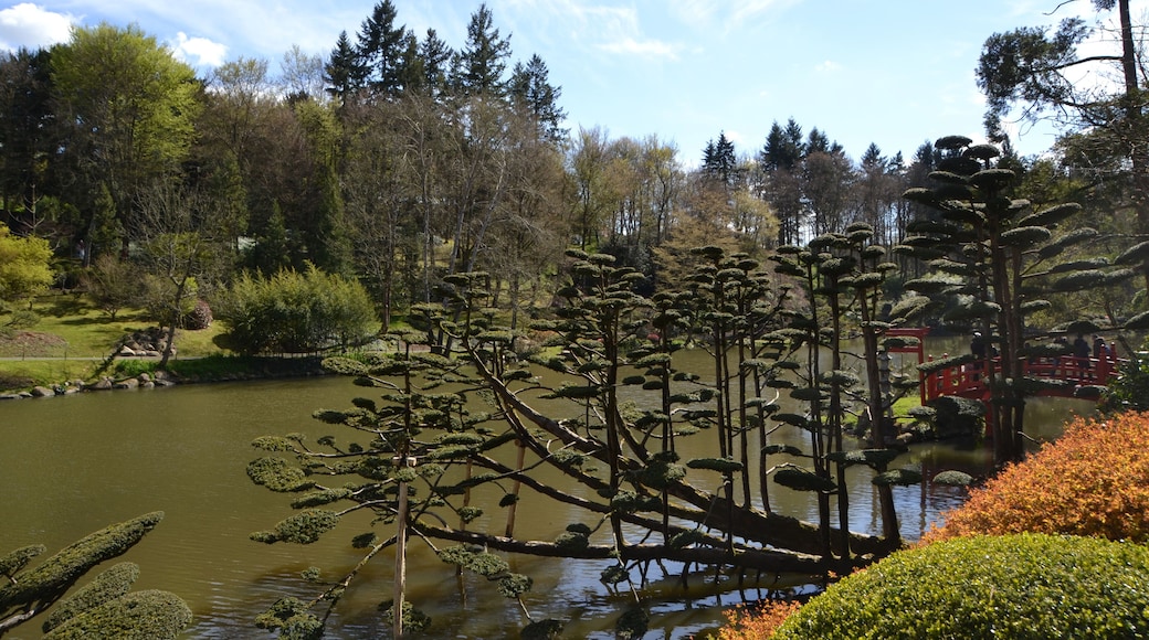 Parque oriental de Maulévrier