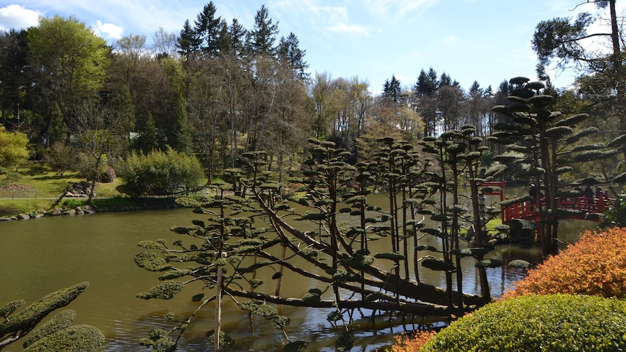 Parc oriental de Maulévrier