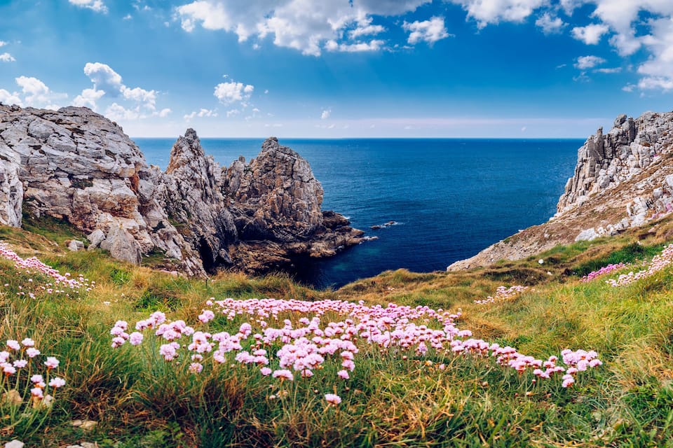 Eine Küstenlandschaft mit felsigen Klippen, einem tiefblauen Meer und rosafarbenen Blüten im Vordergrund.