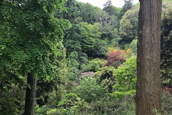 A lovely place not to be missed in Cornwall... has a nice private beach in the end