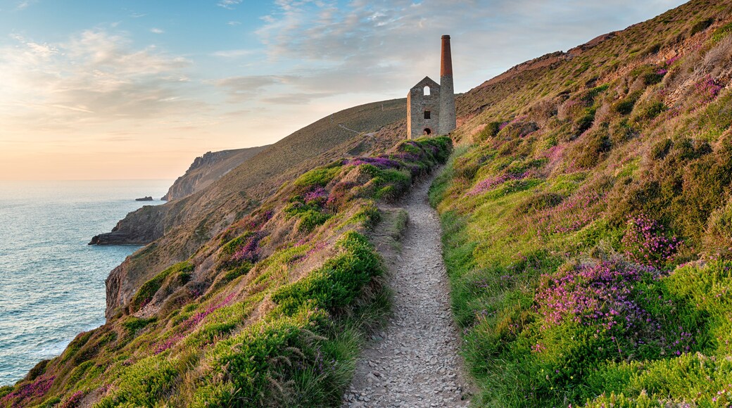 Hazy summer evening on the South West Coast Path as it approaches the ruins of the Wheal Coates mining engine house near St Agnes in Cornwall