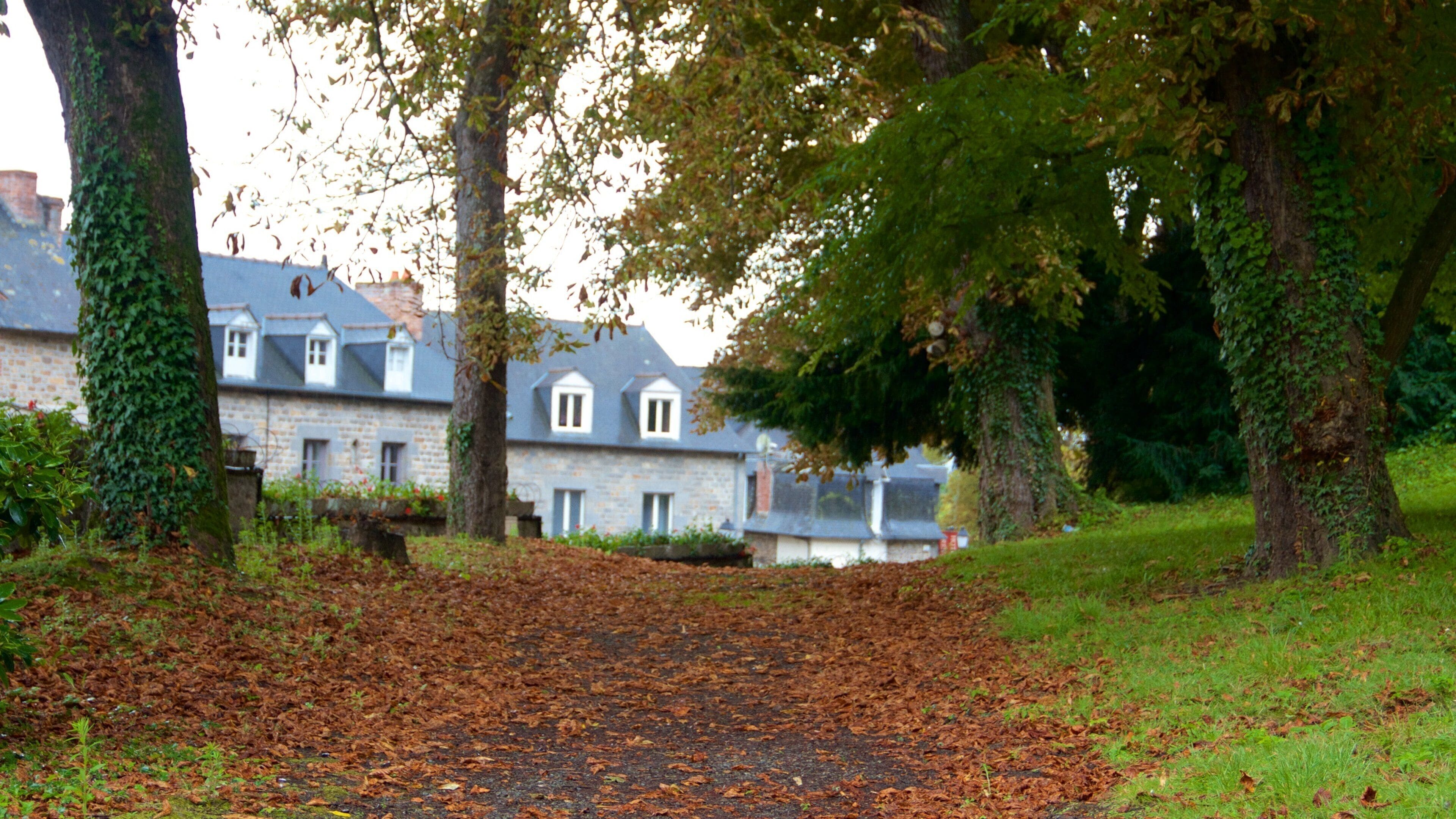Combourg showing a park and autumn leaves