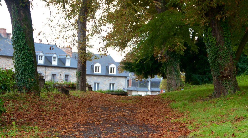 Combourg showing a park and autumn leaves