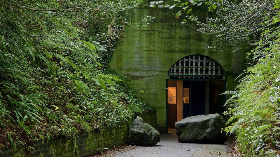 A stone tunnel entrance surrounded by dense greenery and large rocks.