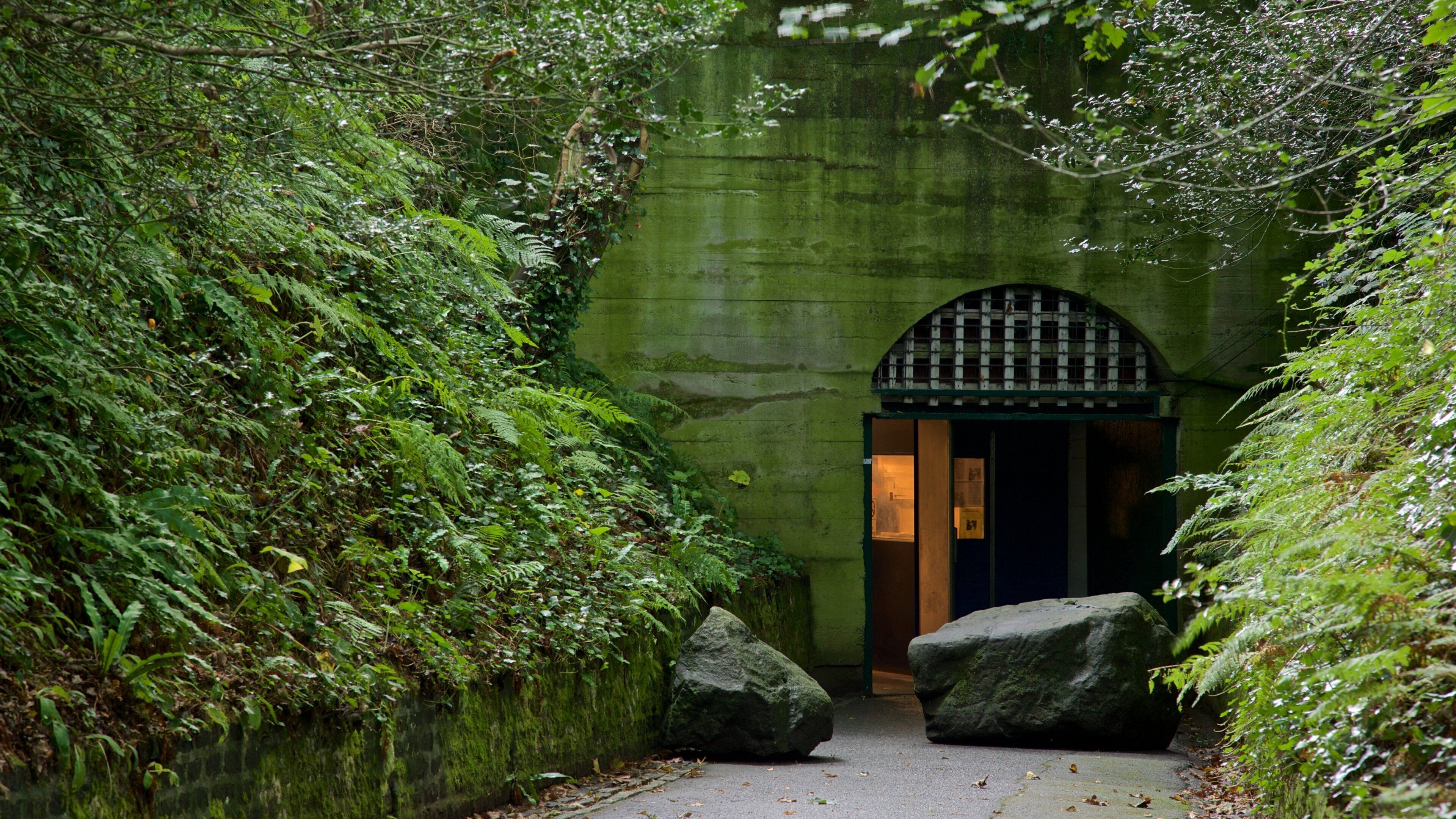 A stone tunnel entrance surrounded by dense greenery and large rocks.