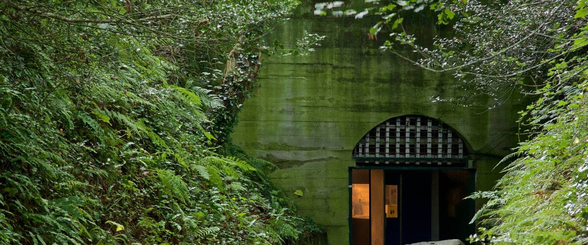 A stone tunnel entrance surrounded by dense greenery and large rocks.
