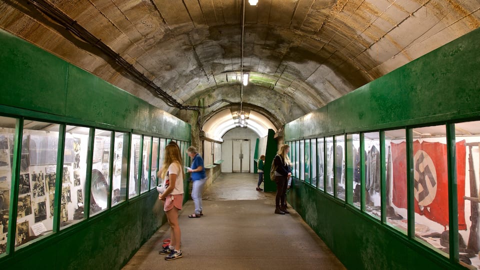 A tunnel with green walls and glass panels displaying historical items.