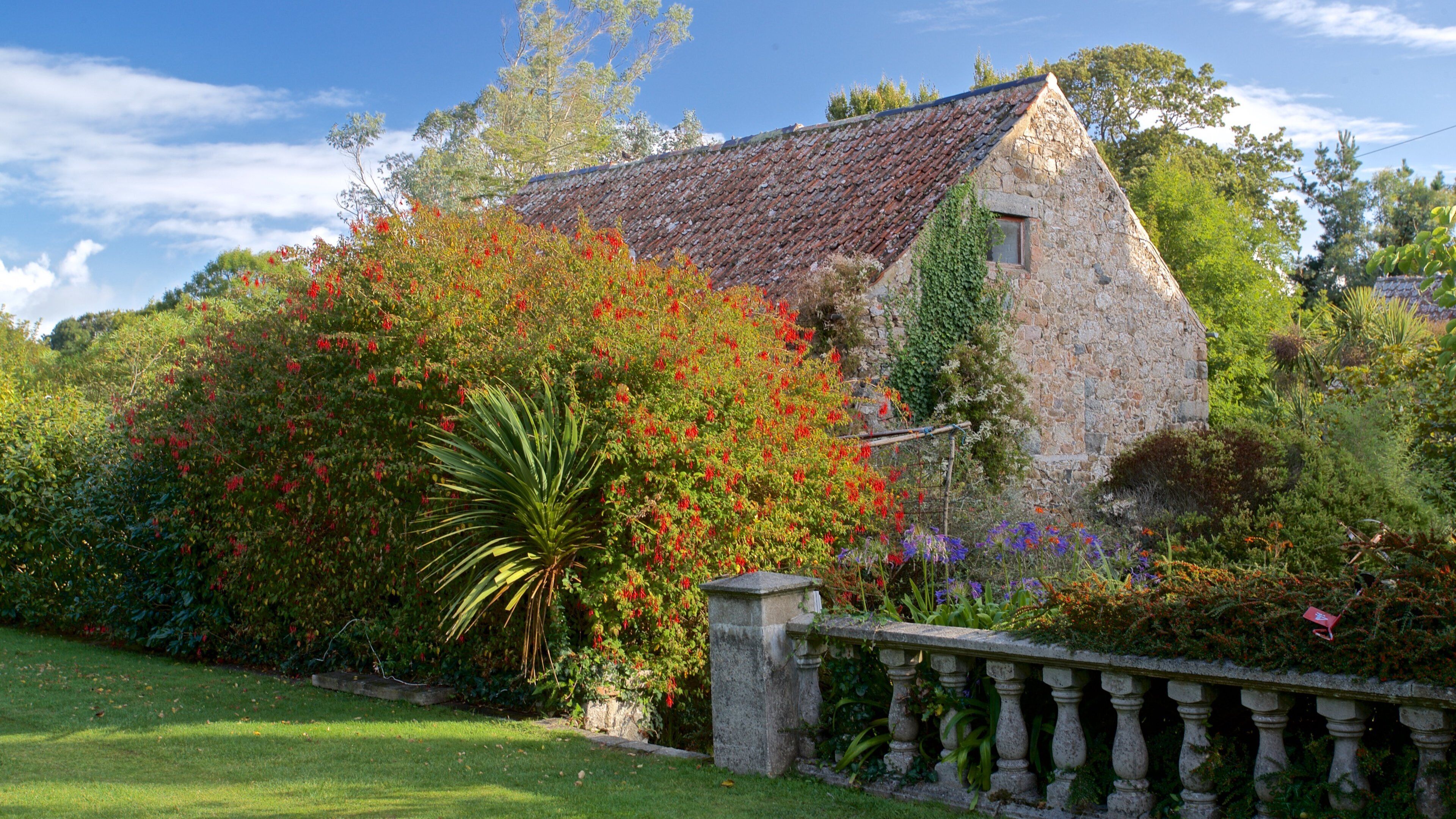 Sausmarez Manor presenterar blommor