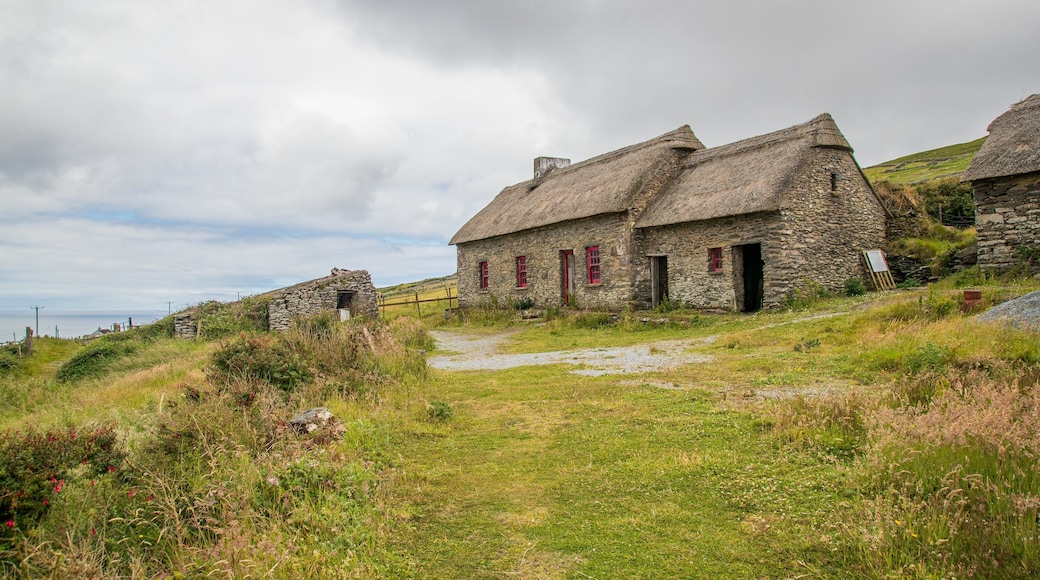 Irish Famine Cottages which includes heritage architecture