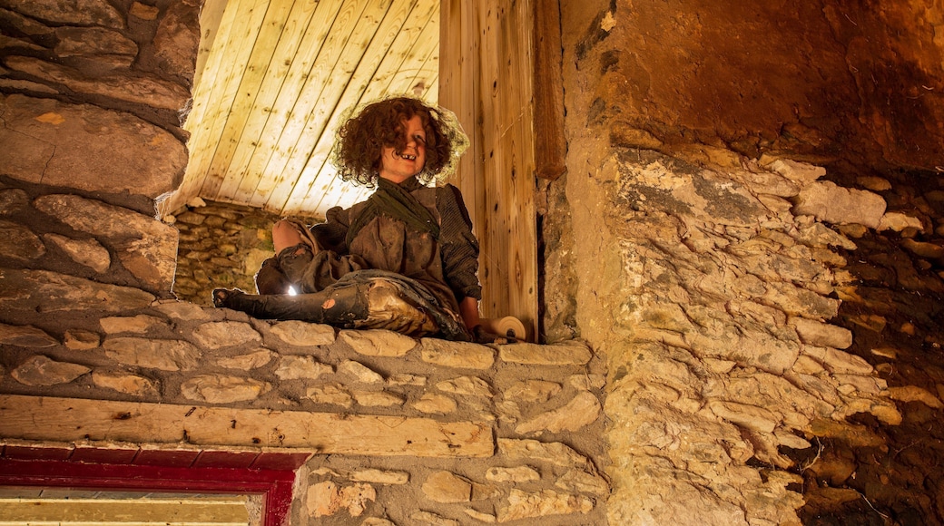 Irish Famine Cottages featuring interior views