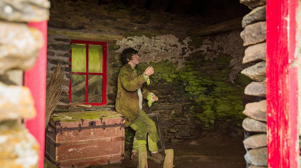 Irish Famine Cottages featuring interior views