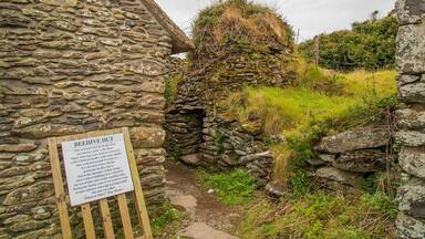 Irish Famine Cottages which includes signage, heritage elements and building ruins