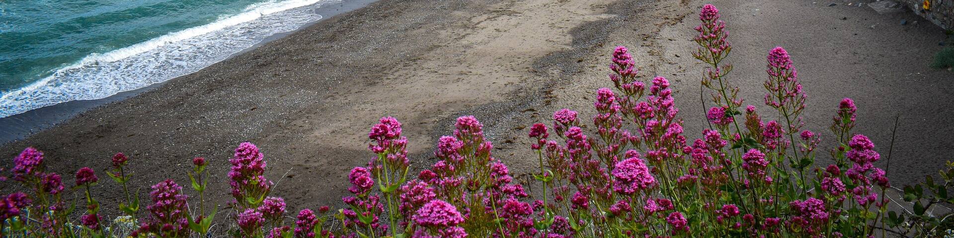 Killiney Beach, Dublin, Ireland