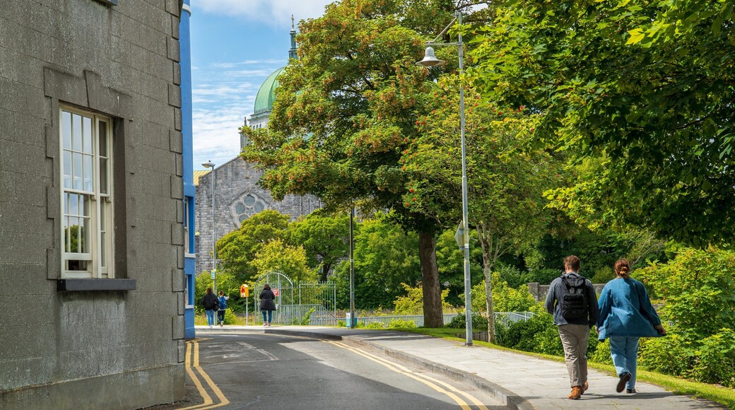 Riverside Walk featuring street scenes as well as a couple