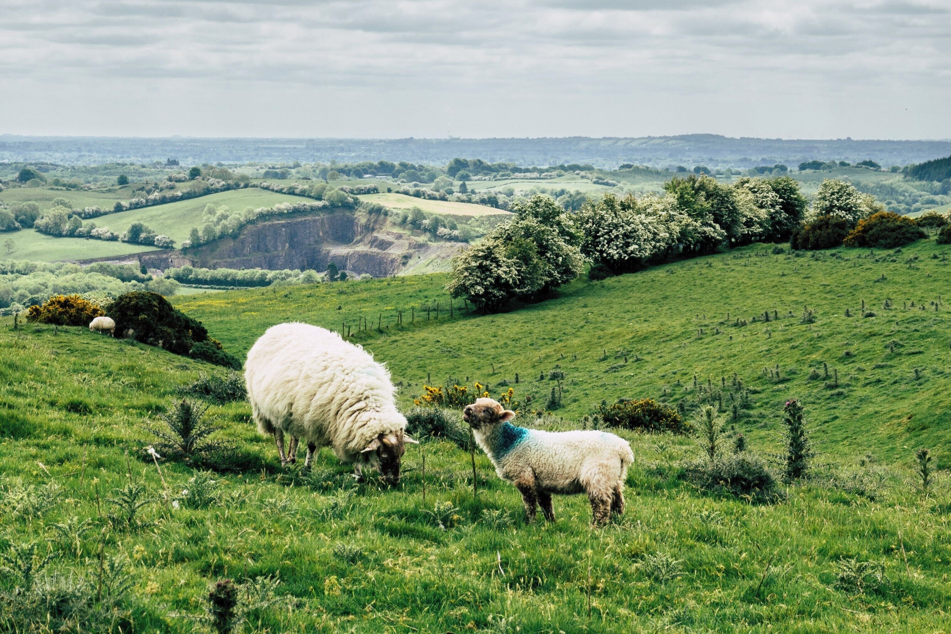 quite a challenging hike after sitting in a bus for multiple hours before.