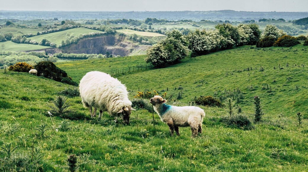 quite a challenging hike after sitting in a bus for multiple hours before.