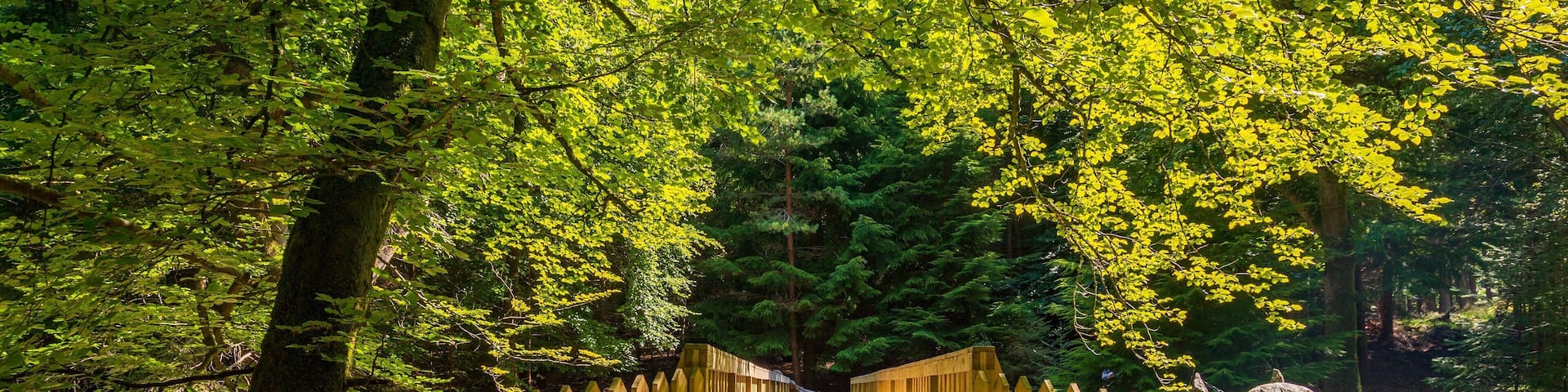 Un pont en bois, flanqué de murs en pierre de chaque côté, et entouré d’arbres verdoyants.