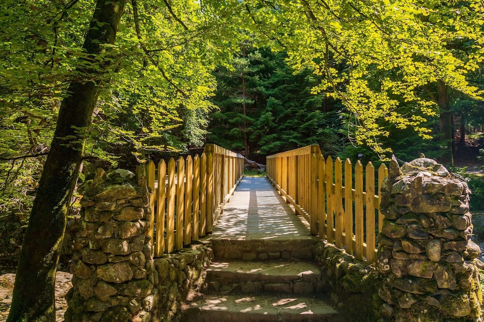 Un puente de madera con muros de piedra a ambos lados, rodeado de árboles verdes y frondosos.