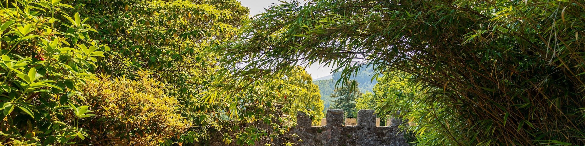 Tollymore Forest Park which includes chateau or palace and heritage elements