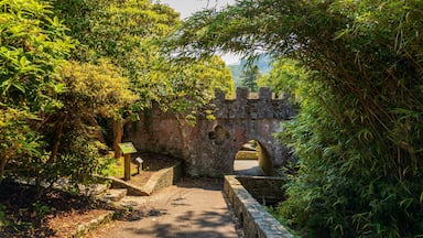 Tollymore Forest Park which includes chateau or palace and heritage elements