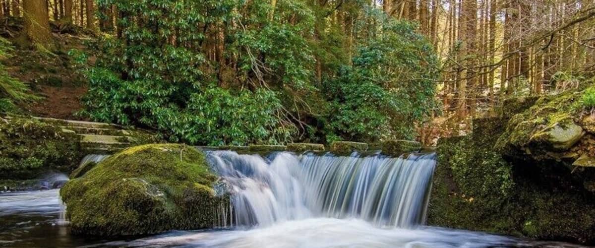 A set of stepping stones across the river in Tollymore Forest Park. Tollymore was one of the locations used when filming Game of Thrones.
Taken at 16mm on a Nikon crop sensor.
#BvSIreland