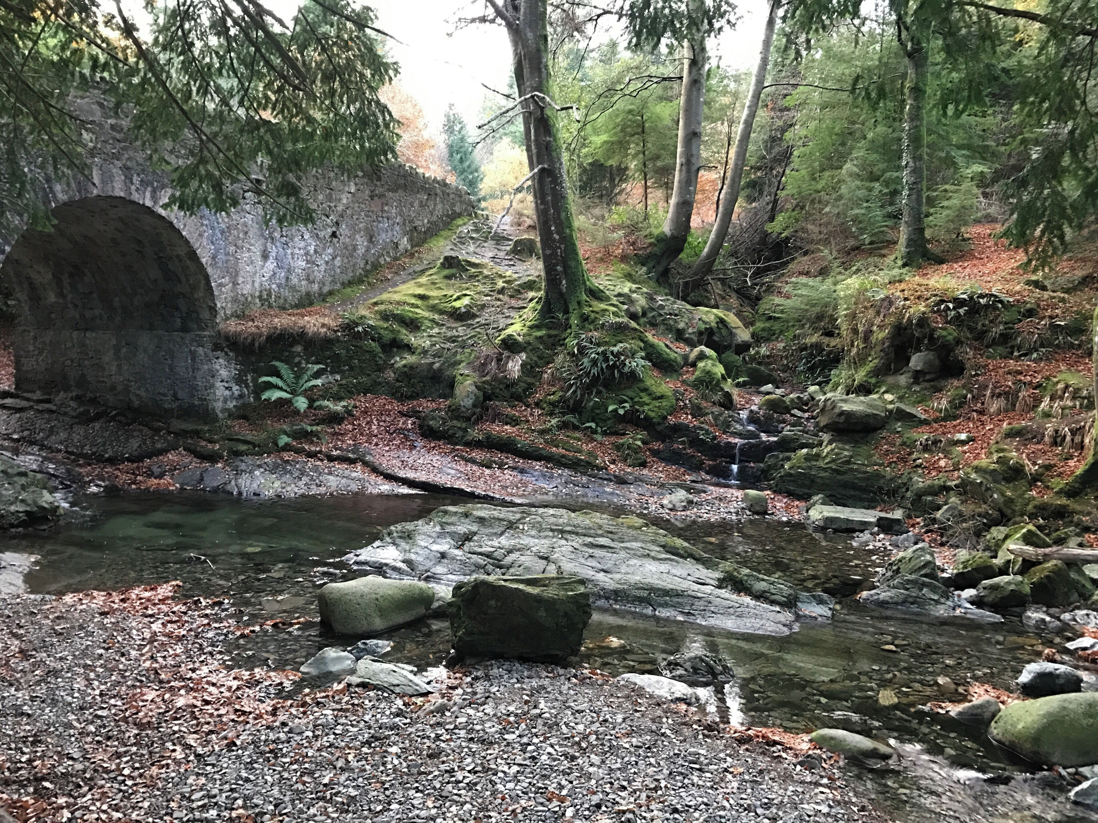 Beautiful hike through Tollymore Forest.  This is also the Game of Thrones filming location where the Stark’s find the direwolf puppies.  11/20/16