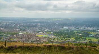Black Mountain showing a city and landscape views