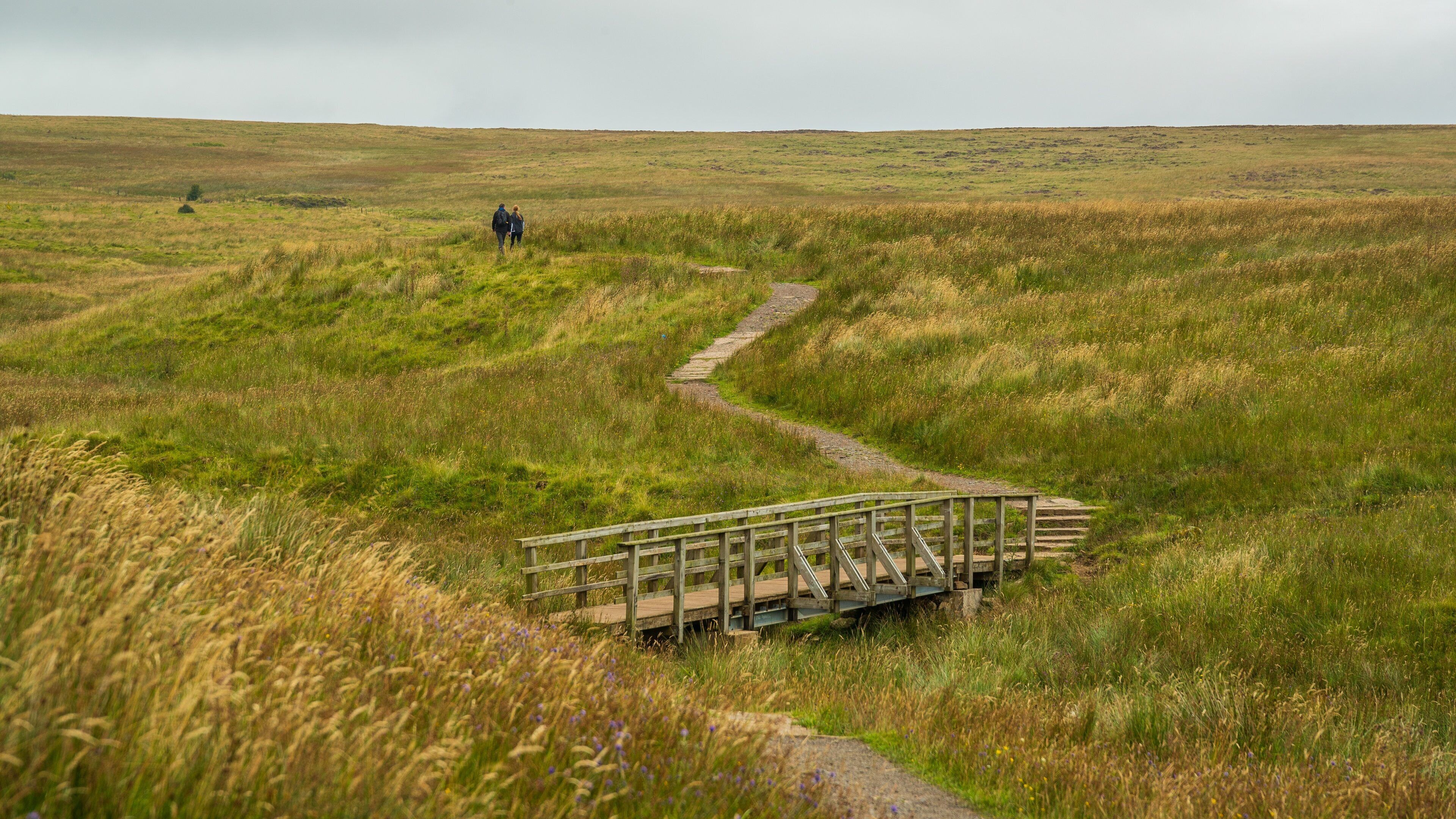 Black Mountain which includes tranquil scenes