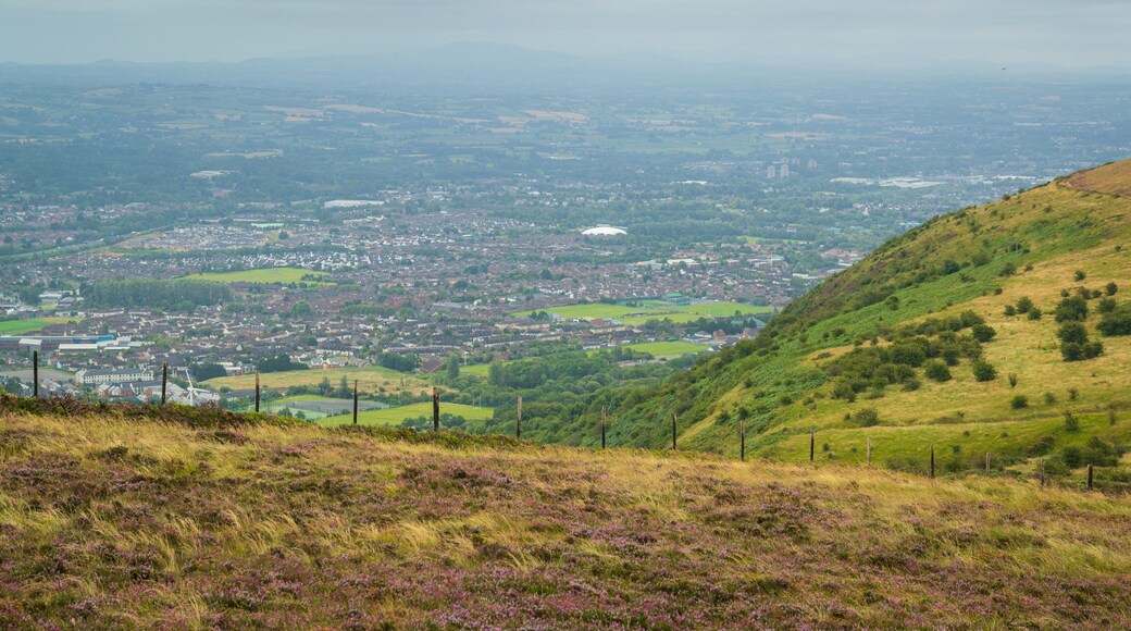 Black Mountain showing landscape views and tranquil scenes