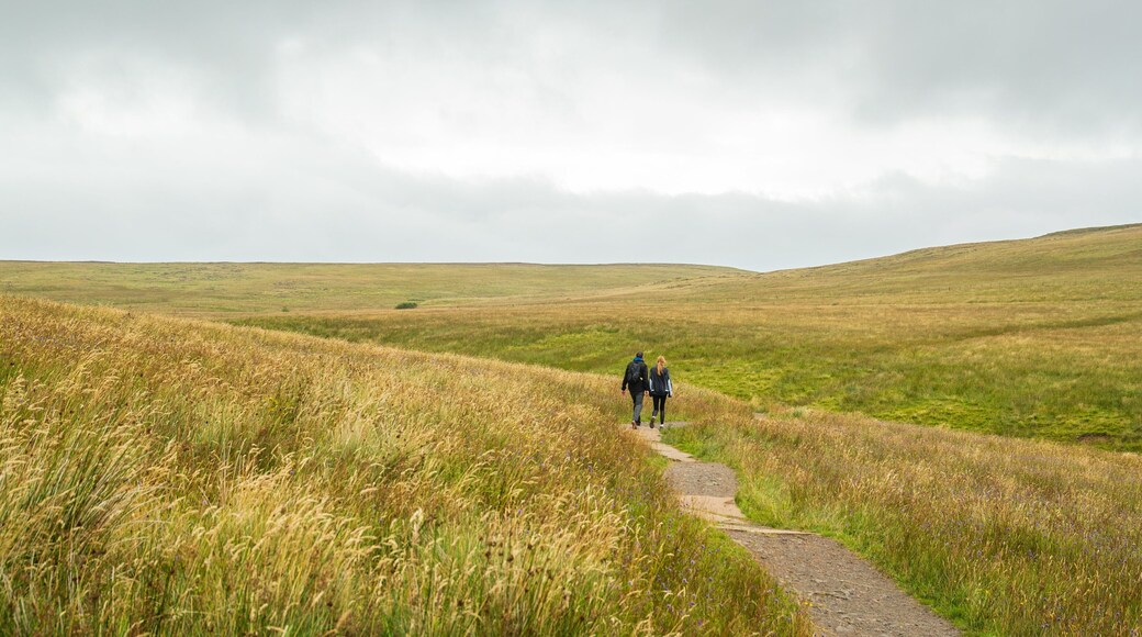Black Mountain which includes hiking or walking and tranquil scenes as well as a couple
