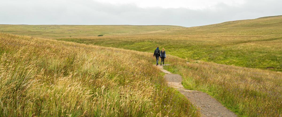Black Mountain which includes hiking or walking and tranquil scenes as well as a couple