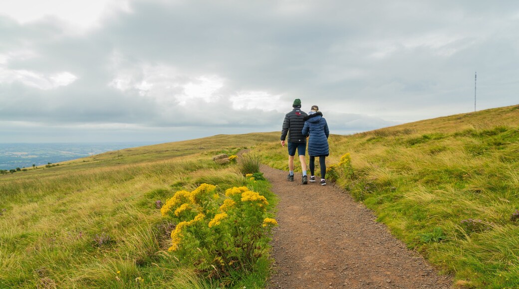 Black Mountain featuring tranquil scenes and hiking or walking as well as a couple