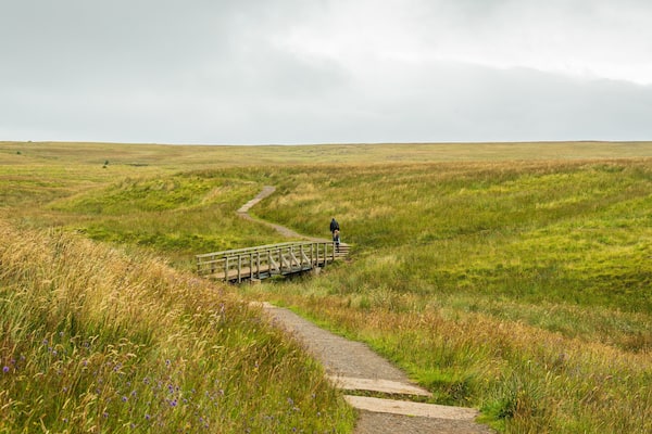 Black Mountain featuring tranquil scenes