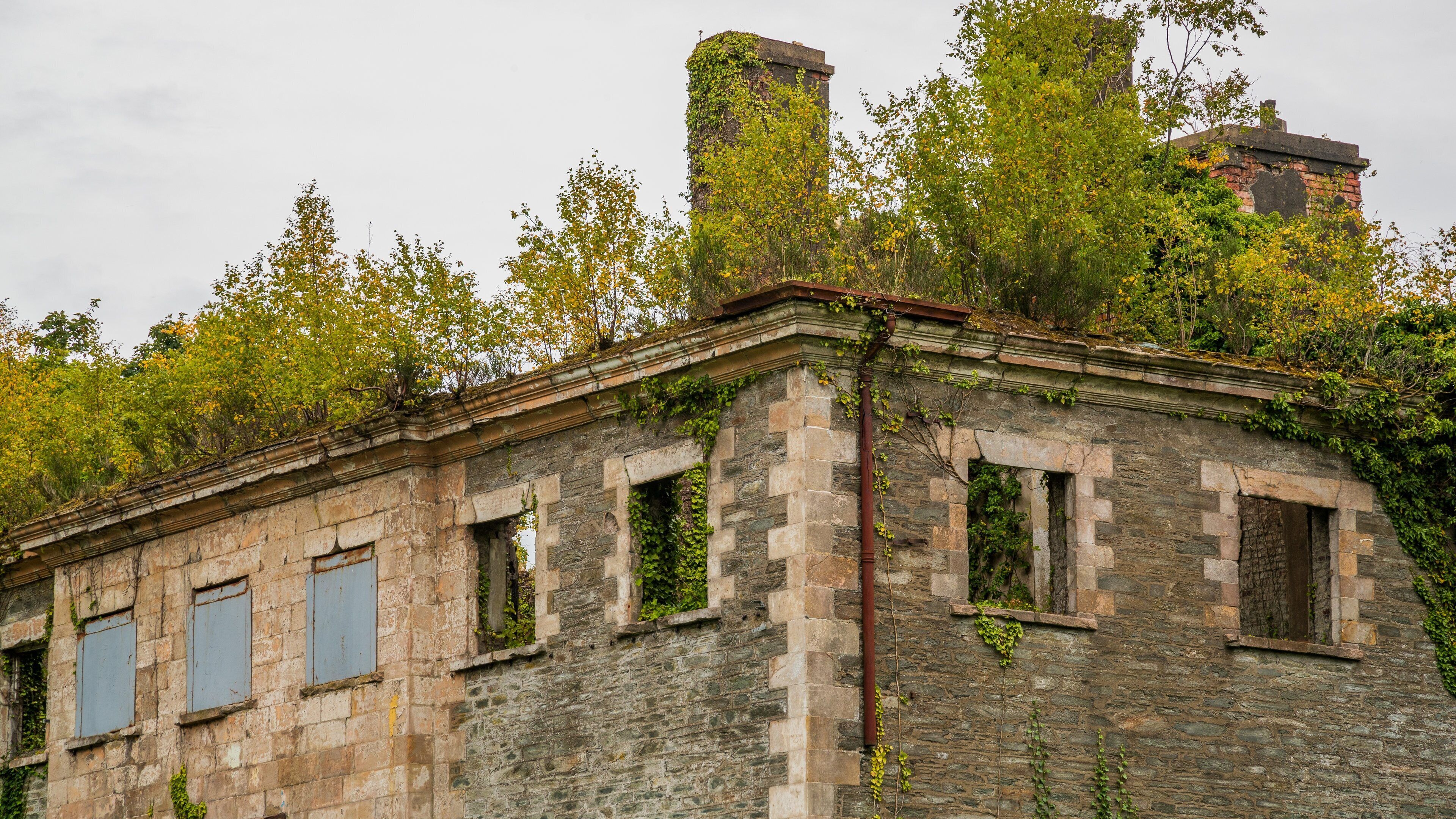 Boom Hall featuring heritage elements