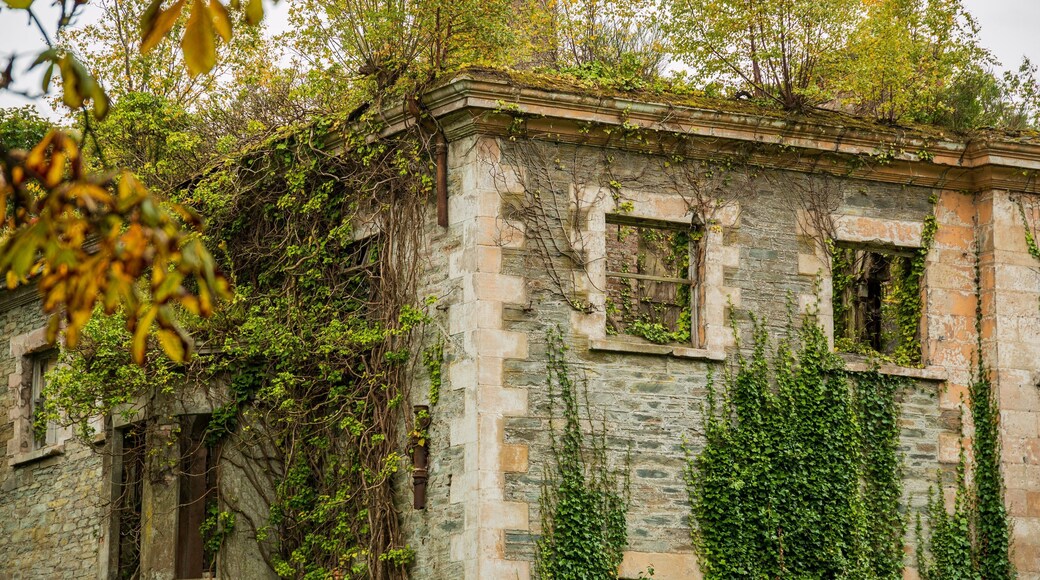 Boom Hall featuring heritage elements