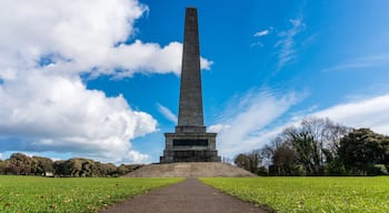 Alley leading to Wellington Monument and Testimonial