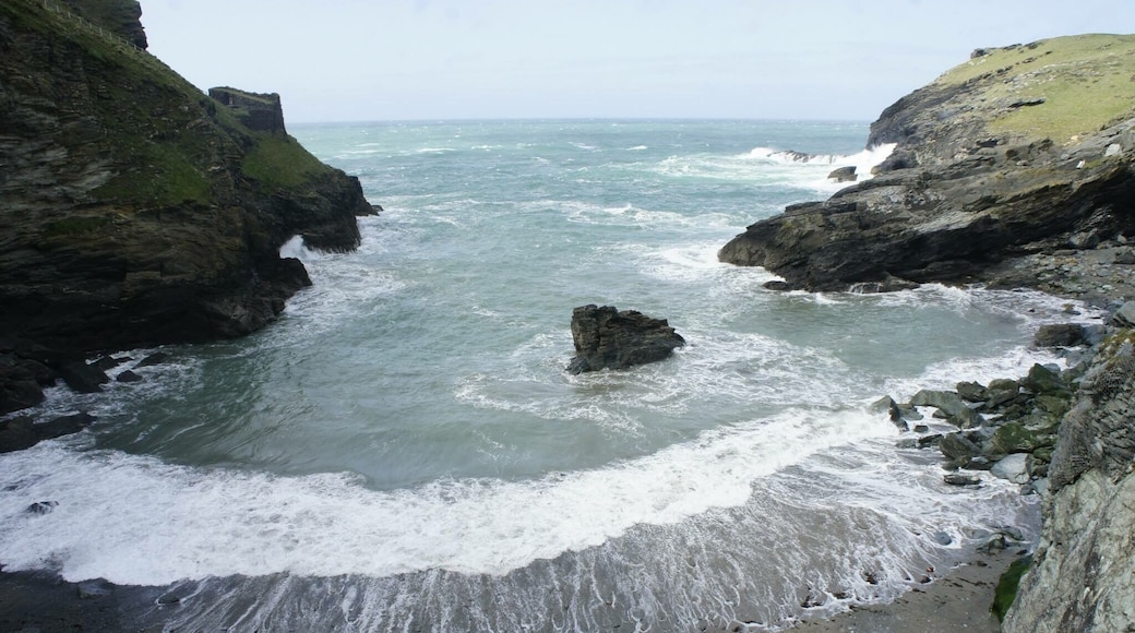 Merlin's Cave, Tintagel
It was a wet windy day and we couldn't get into the cave (or the castle). This is a pic from the cliffs over the cave. There were seals in this little cove too that had probably come inland because of the bad weather
#cornwall #boscastle #tintagel #cave #merlin #seals #waves