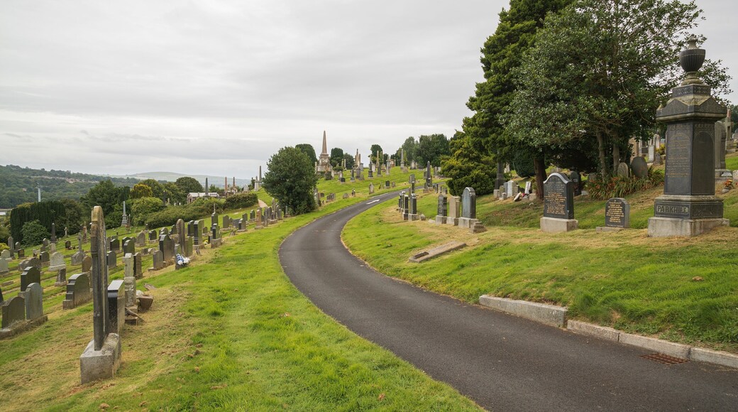 City Cemetery featuring a cemetery