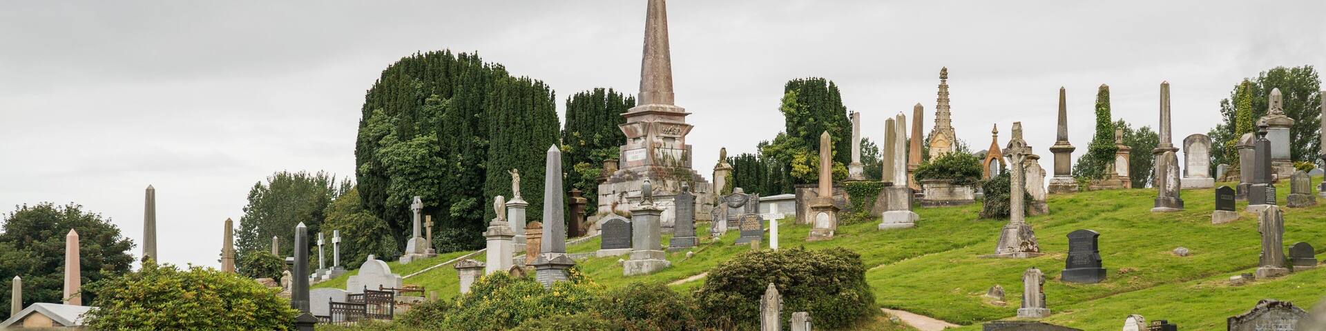 City Cemetery showing a cemetery