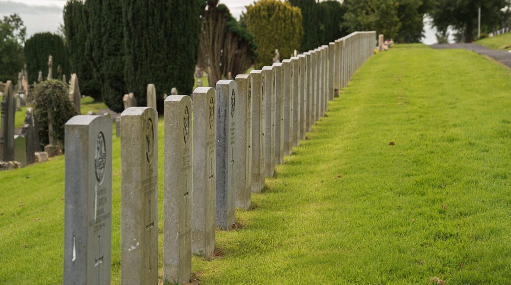 City Cemetery featuring a cemetery