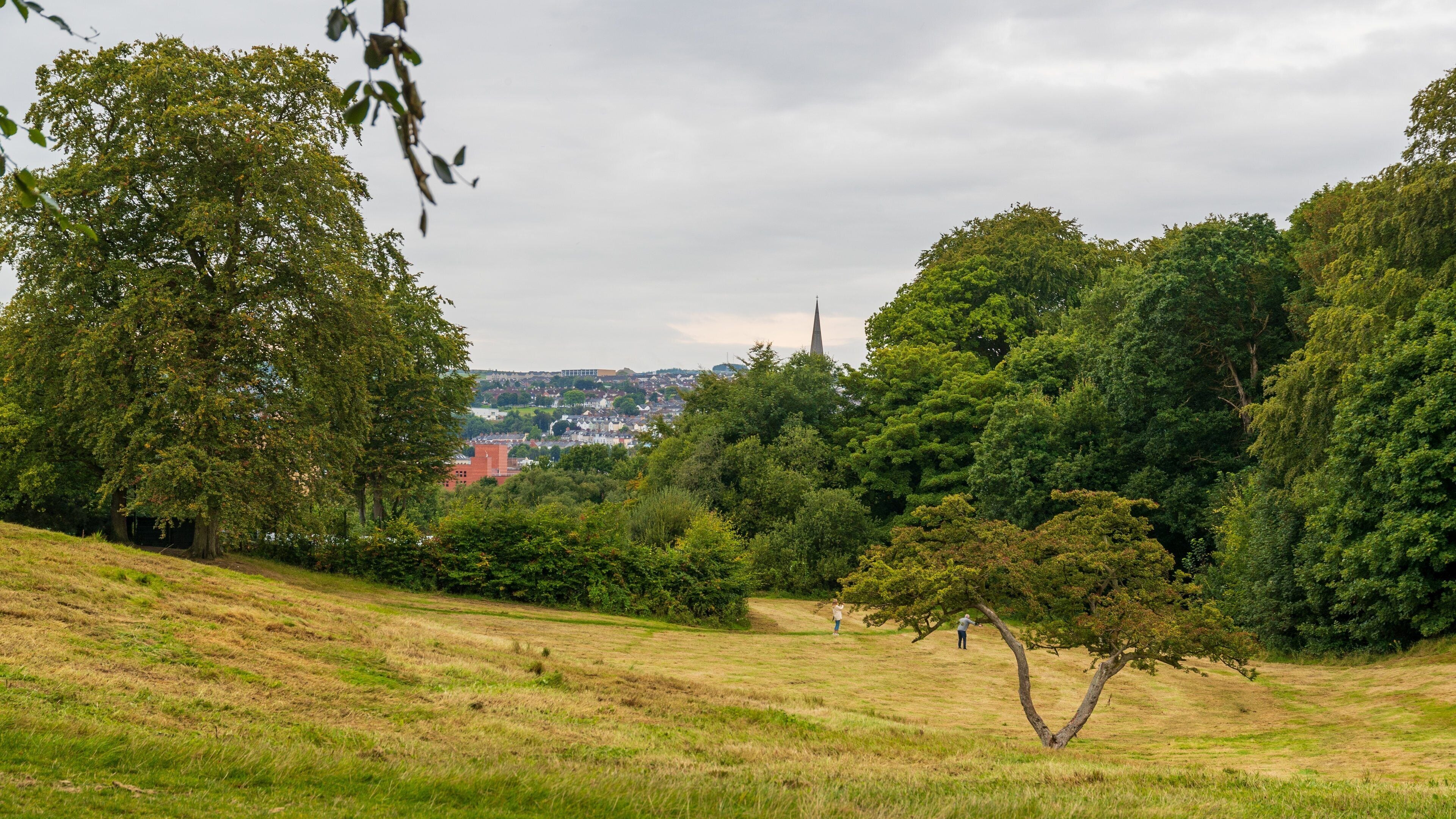 St. Columb\'s Park showing a park and tranquil scenes