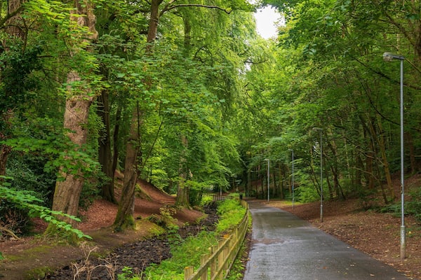 St. Columb\'s Park featuring forests and a park