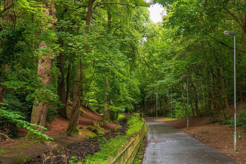 Un sentier bordé d’arbres, avec une clôture en métal et des lampadaires.