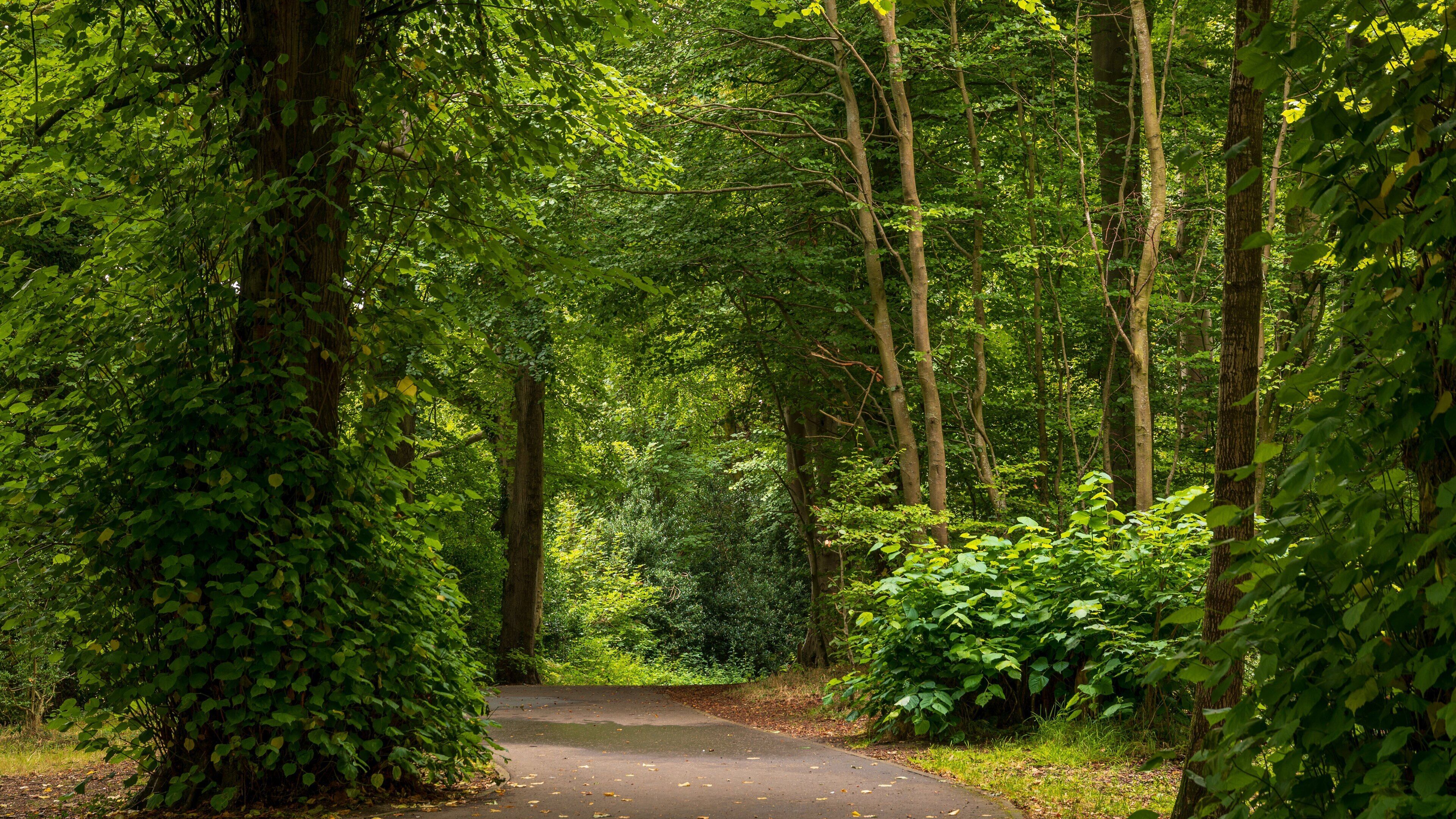 St. Columb\'s Park featuring a garden and forest scenes