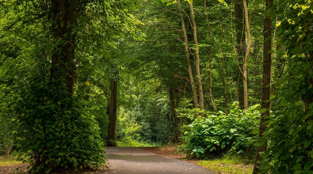 St. Columb\'s Park featuring a garden and forest scenes